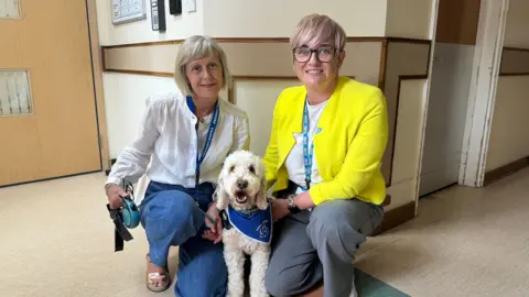 Queen Elizabeth Hospital Ted the cockerpoo dog in a hospital with his owner and worker