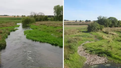 John Pritchard A comparison of the River Ver chalk stream in a normal year and in 2019 when it dried up