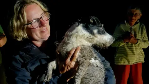 Buckfastleigh Fire Station Jack Russell Spike