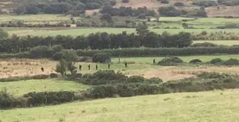 Security alert in Dungiven, officers pictured searching countryside fields