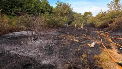 An area of burnt land with an orange hose pipe on the right and ahead are firefighters. The burnt land is surrounded by trees. 