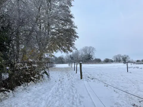 MaggieMay A wintery scene in Thriplow, Cambridgeshire