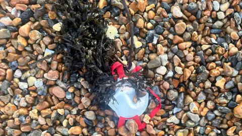 OLIVER BLACKABY A white protective face mask with red straps on a pebble beach. It is tangled up with seaweed. 