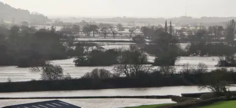 Steve Boon A photo of the flooded fields framed by the outlines of trees.