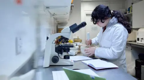 University of Northampton A woman in a white lab coat in a laboratory setting.