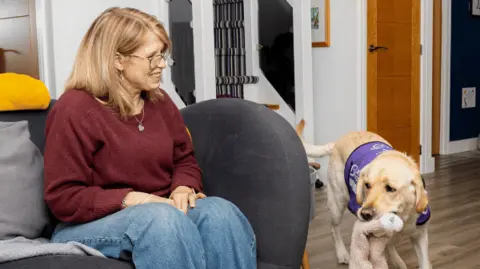 Canine Partners A woman with glasses wearing jeans and a red jumper sitting on a sofa with her hands on her lap. A golden Labrador is bringing her her slippers in its mouth. It is wearing a purple harness.