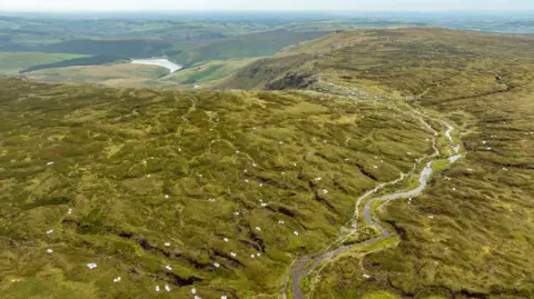 National Trust/Paul Harris An aerial shot of white bags dotted around the moorland landscape with a reservoir in the distance