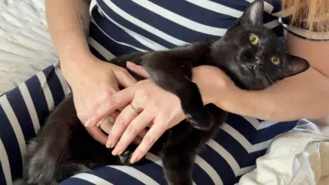 Poppy the black cat has green eyes and is being held by her owner. She has one paw on top of her owner's hand.