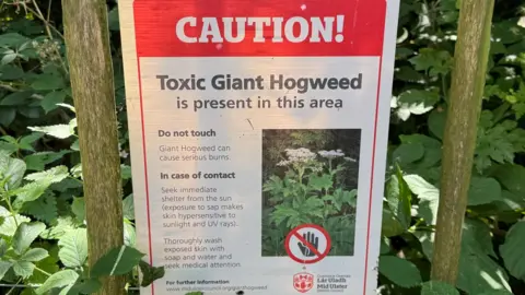 A sign warning that "toxic giant hogweed is present in this area". 