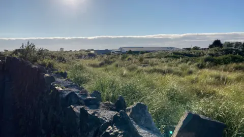 BBC A general view of a vacant block of land. There is a stoned wall in the foreground with overgrown grass and a building in the background.