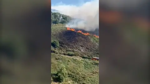 wildfire on the mountain 