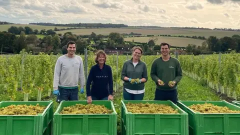 Two men and two women standing in a vineyard in front of large green boxes full of grapes