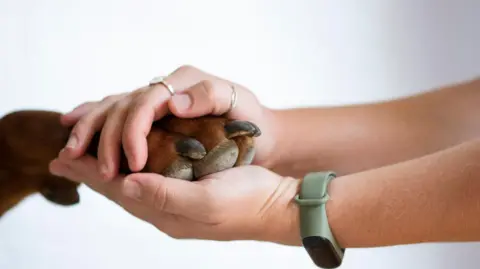 Dog's paw being held by human hands