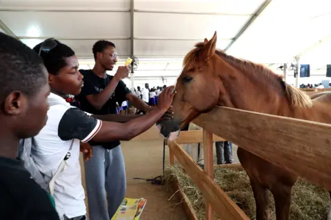 Legnan Koula / EPA Young men pet a small horse or pony. 