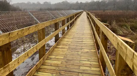 BBC The new wooden boardwalk across the wetland 