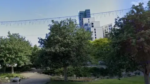 Google A photo before the trees were cut down