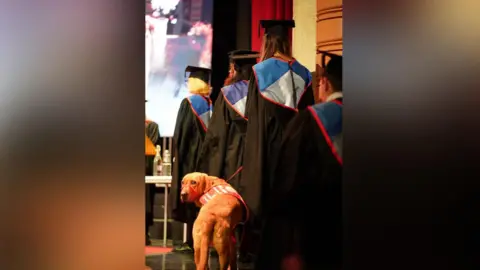Stefi Cottle-Bailey Daisy Cottle-Bailey pictured at her graduation with her medical detection dog Jarvis. Jarvis, who is a reddish colour, is looking back at the camera while Daisy waits in line to graduate from Queen Mary University of London.