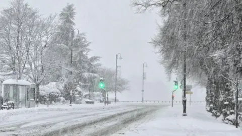 BBC WeatherWatchers/Emma Green traffic lights stand out as heavy snow falls on a tree-lined road - everything coated in white.