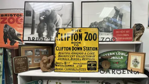 A collection of items from Bristol Zoo Gardens that are up for auction including yello signage, posters, black and white photos of gorillas and monkey sculptures