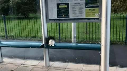 Supplied Benton sat at the Inham Road tram stop, ready to meet people.