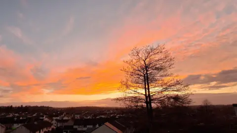 Jojo The rooftops in Cockermouth are coloured orange by the colours of the sunrise. A tall, leafless tree is silhouetted against the glowing sky.