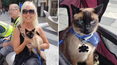 Holly Hennessy The left image shows a blonde woman wearing large sunglasses holding a beige and brown cat on her lap. The right image shows a beige cat with a brown face and blue eyes wearing a blue leash and collar.