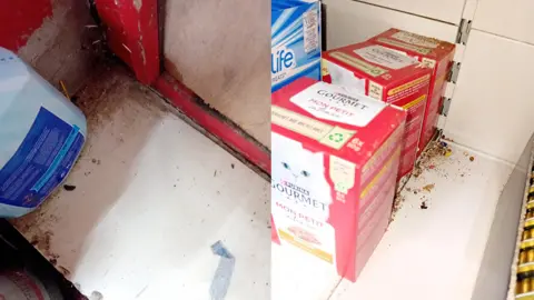 Cardiff Council two images put together. Both show white shelves with food products and a rat droppings 