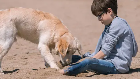 Getty Images A young boy with his jeans rolled up sits on the beach playing with his dog who is digging a hole in the sand.
