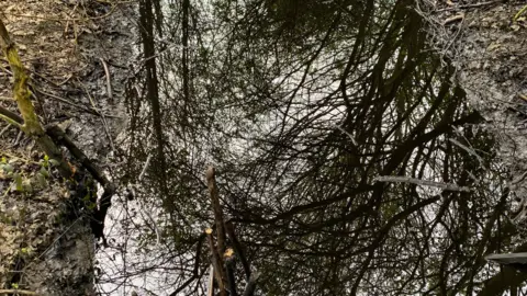 A ditch full of oily black water