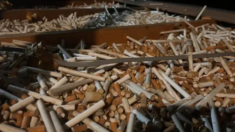 James Christie Brown cigarette butts and white filter tips in the rafters of an attic. 