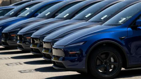 A line of Teslas