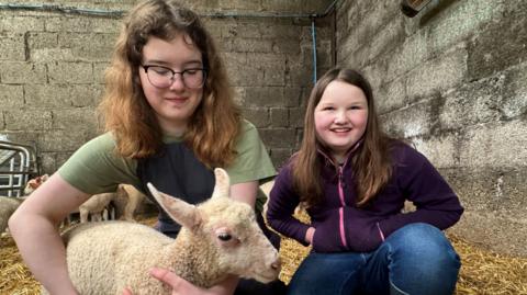 Girls holding a sheep in a shed