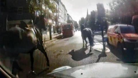 Dash cam video from a black cab taxi driver showing a dark horse with saddle close to the front of his cab and another dark horse is running away towards a bus parked on the left