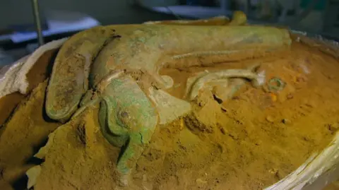 BBC/Rare TV The head of an Iron Age carnyx emerging out of a block of sandy soil. It is lying on its side and half buried. It has the head of an animal, with a gaping mouth and crest.