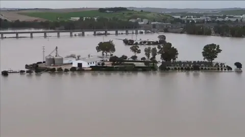 Buildings and trees in high flood water