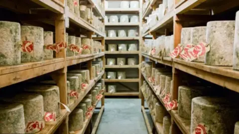 Neal's Yard Dairy Floor-to-ceiling shelves in a large warehouse filled with truckloads of cheese, each with a label.