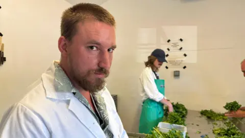 A man in a white jacket preparing tubs of watercress on a metal table in a kitche. He is looking to his right, into the camera. A second man in an apron and black baseball cap in to his left preparing cress