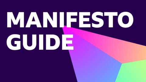 Graphic saying Manifesto Guide