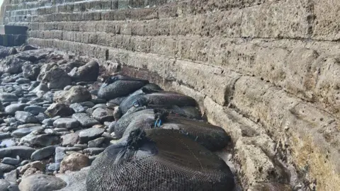 Dorset Council Bags of rock at bottom of The Cobb, breakwater at Lyme Regis.