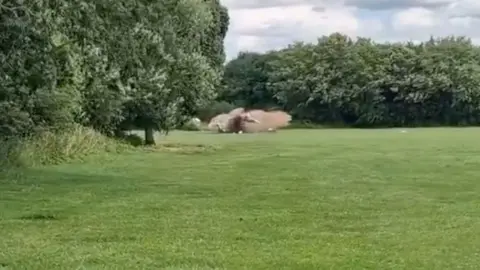 Footage of bombs being destroyed in controlled explosion