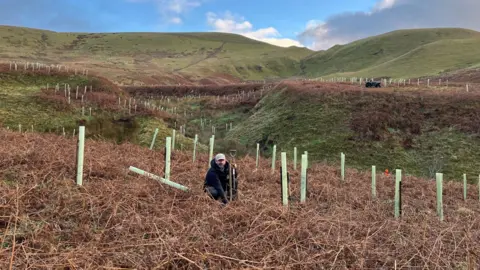 NPNL A worker crouches down with a spade as they plant a tree in a circular green cone. There is the North Pennines landscape in the background, with rolling green hills.