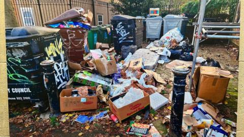 Pile of rubbish, including cardboard boxes, left next to large communal bins
