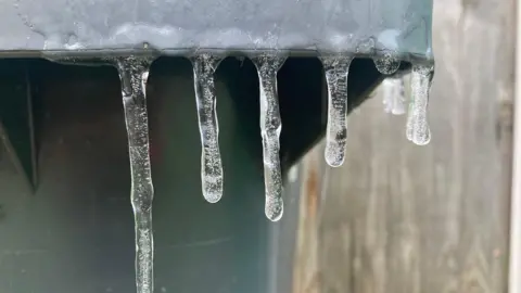 Norfolk Nettie Ice stalagmites on a bin