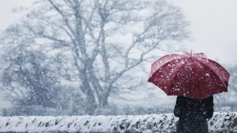 Getty Images A woman wearing a long winter coat shelters under a red umbrella in a snow storm next to a snow-covered stone wall.