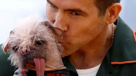 Reuters Ryan Reynolds wears a green shirt and holds Peggy the dog. He is kissing her on the side of the head. She wears red and black superhero costume and has a long, pink tongue.