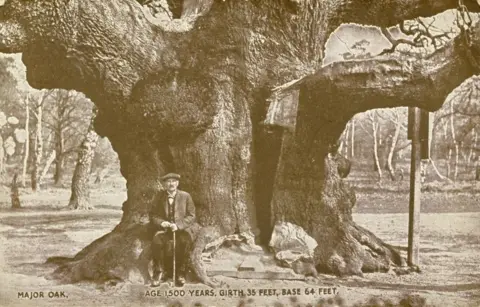 Inspire Picture Archive An old man sitting next to the major oak 