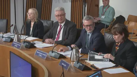 Scottish Parliament Four people, two men and two women, sit at a table giving evidence to a committee