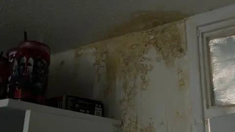 LDRS Brown staining on a white wall and ceiling