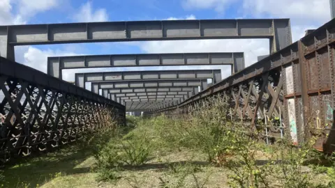 Sparse grass and weeds grow along a disused section of a viaduct.