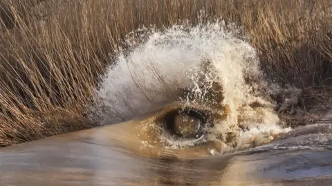 Aleks Gijka A small wave in a river curls around on itself as it hits dry rushes on a bank, creating a round curl beneath it resembling an eye.